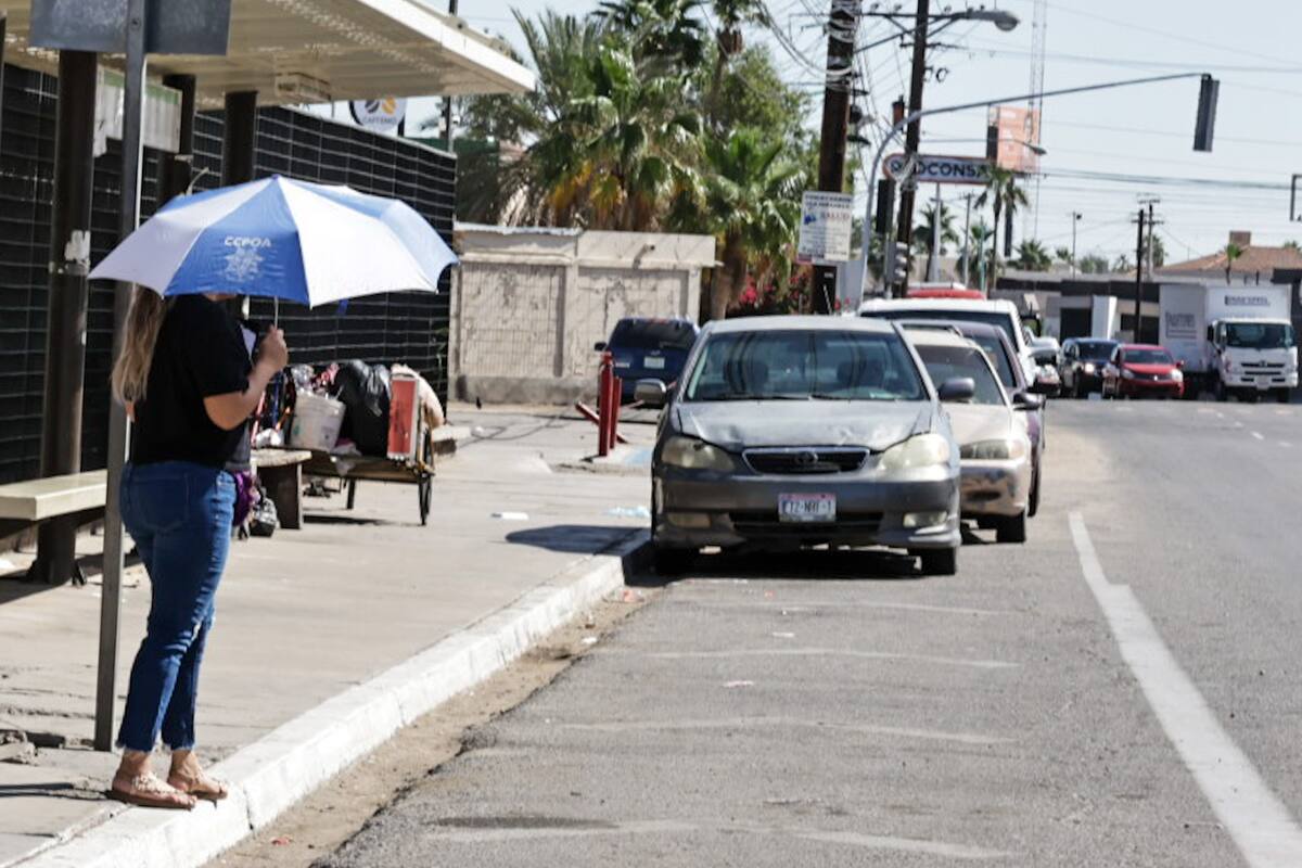 Permanecerán días cálidos para la próxima semana