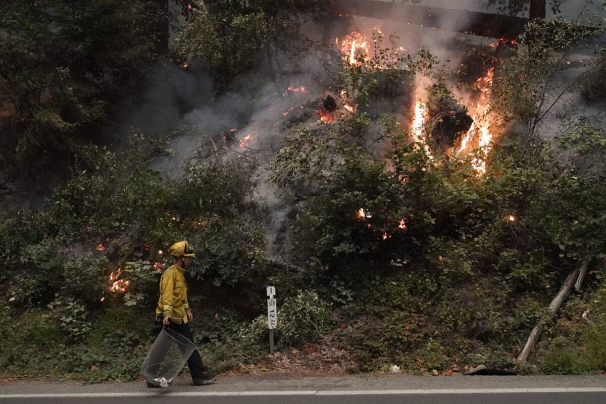 Gobernador de California solicita ayuda a Canadá y Australia para combatir incendios
