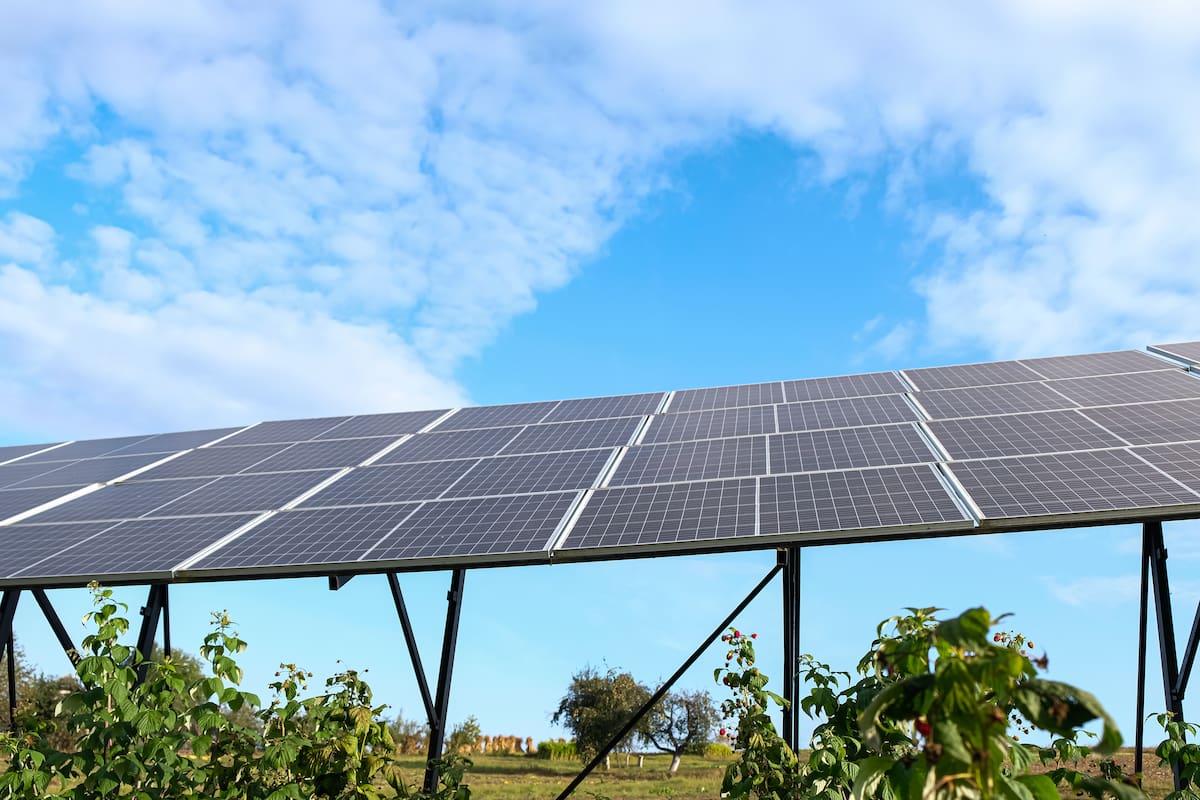 Exportar energía solar, gran oportunidad para Sonora