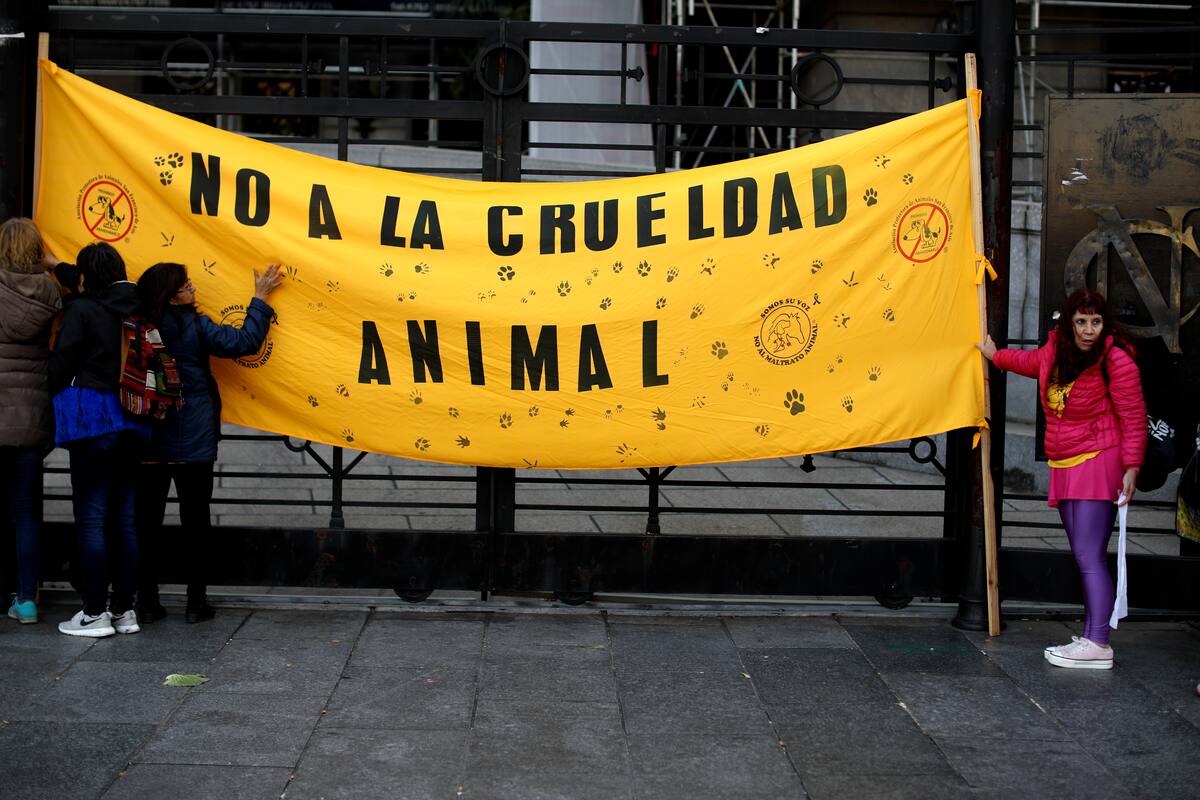 Niegan amparo a mujer que inmolaba animales como práctica religiosa