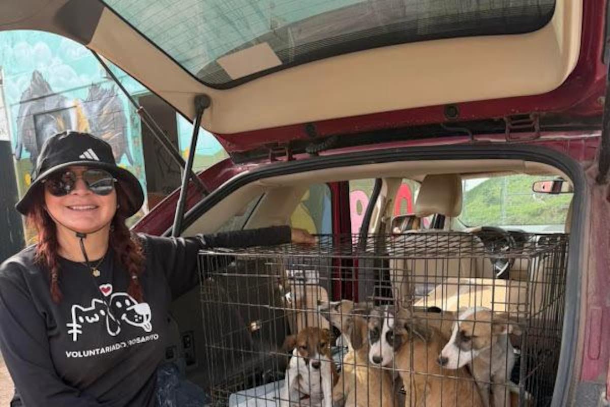 Convocan a protesta por restricción de acceso de voluntarios a Control Animal de Rosarito
