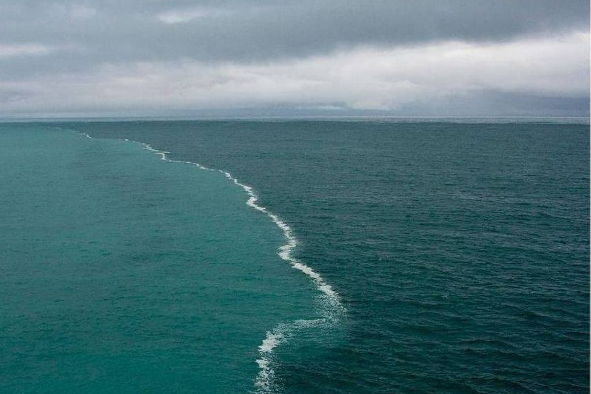 Aumento de olas de calor marinas amenaza la biodiversidad y ecosistemas oceánicos