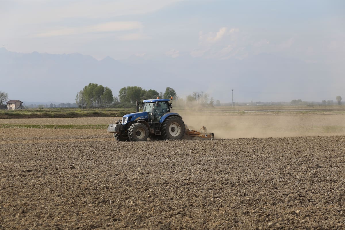 Jack Ancell mantiene su vínculo con el campo mientras participa en nuevos proyectos agrícolas. Foto: Pexels