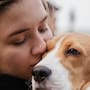 Buscan reformar la Ley Federal de Sanidad Animal en México para reconocer que los animales sienten dolor, miedo, placer y estrés, y no tratarlos solo como objetos de regulación sanitaria