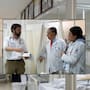 Eran proveedores del gobierno con víveres y alimentos para IMSS Bienestar pero mintieron en licitación y ahora serán multados con más de 800 mil pesos