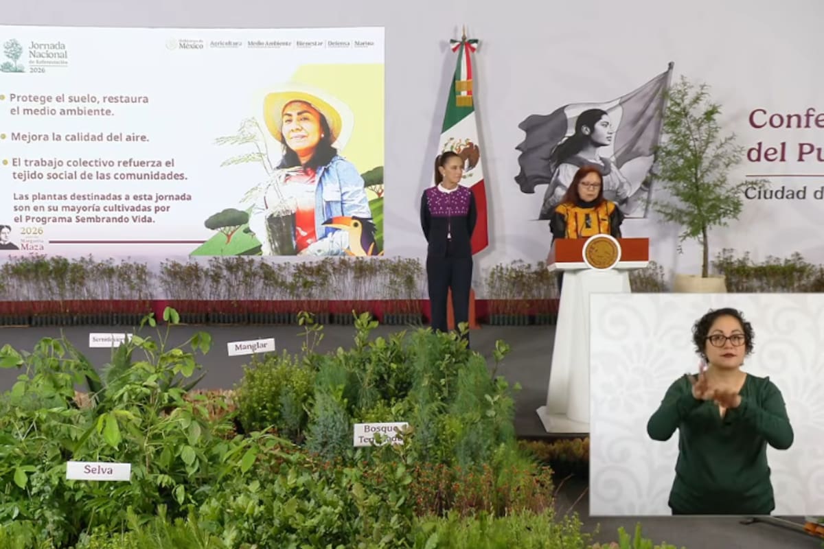 Sembrando Vida producirá 300 millones de plantas al año; Jornada Nacional de Reforestación usará drones para dispersar semillas