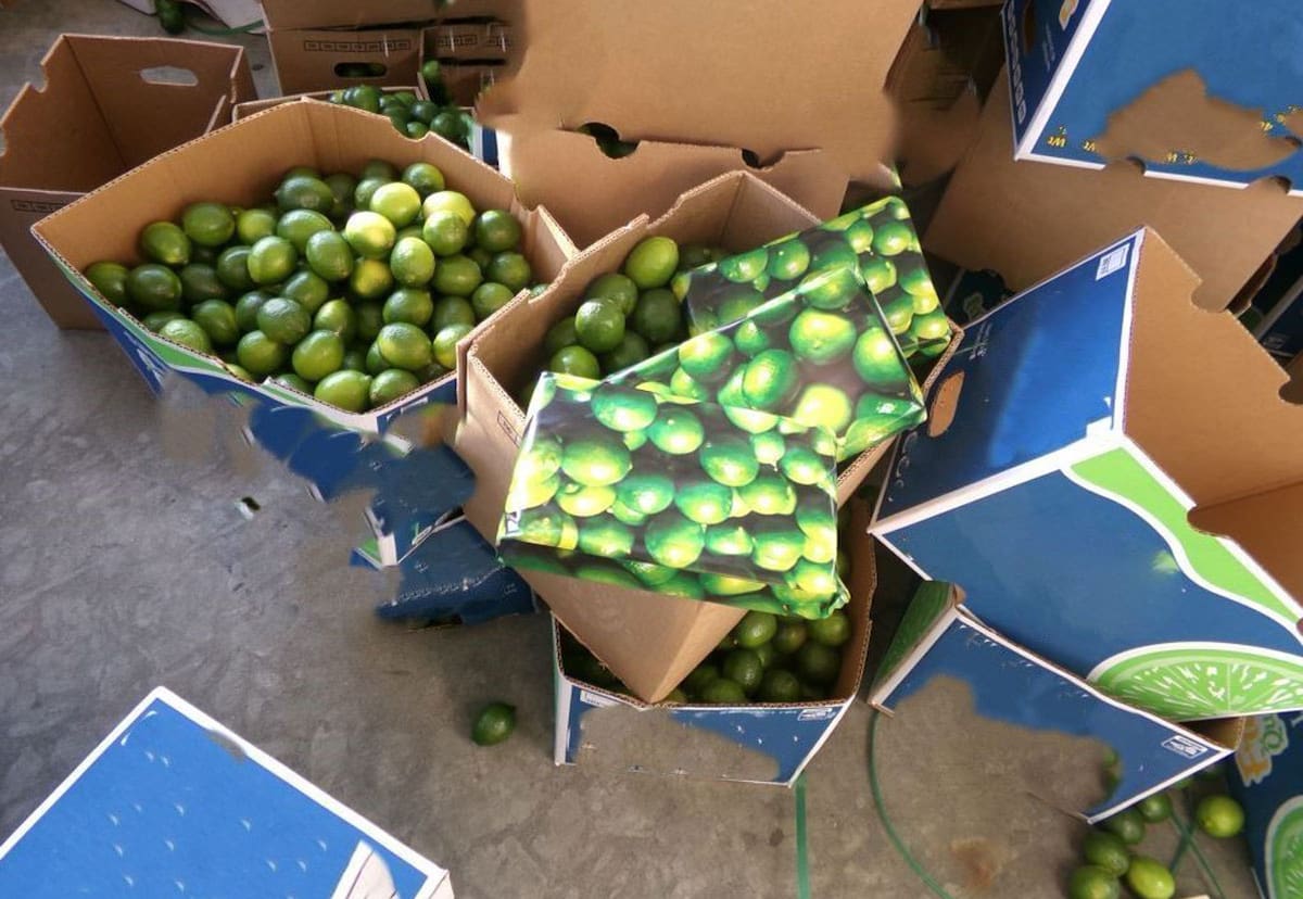 Los siete hombres fueron identificados como Víctor “N”, Manuel “N”, Juan “N”, José “N”, Luis “N”, Artemio “N” y Ángel “N”.Foto: Cortesía
