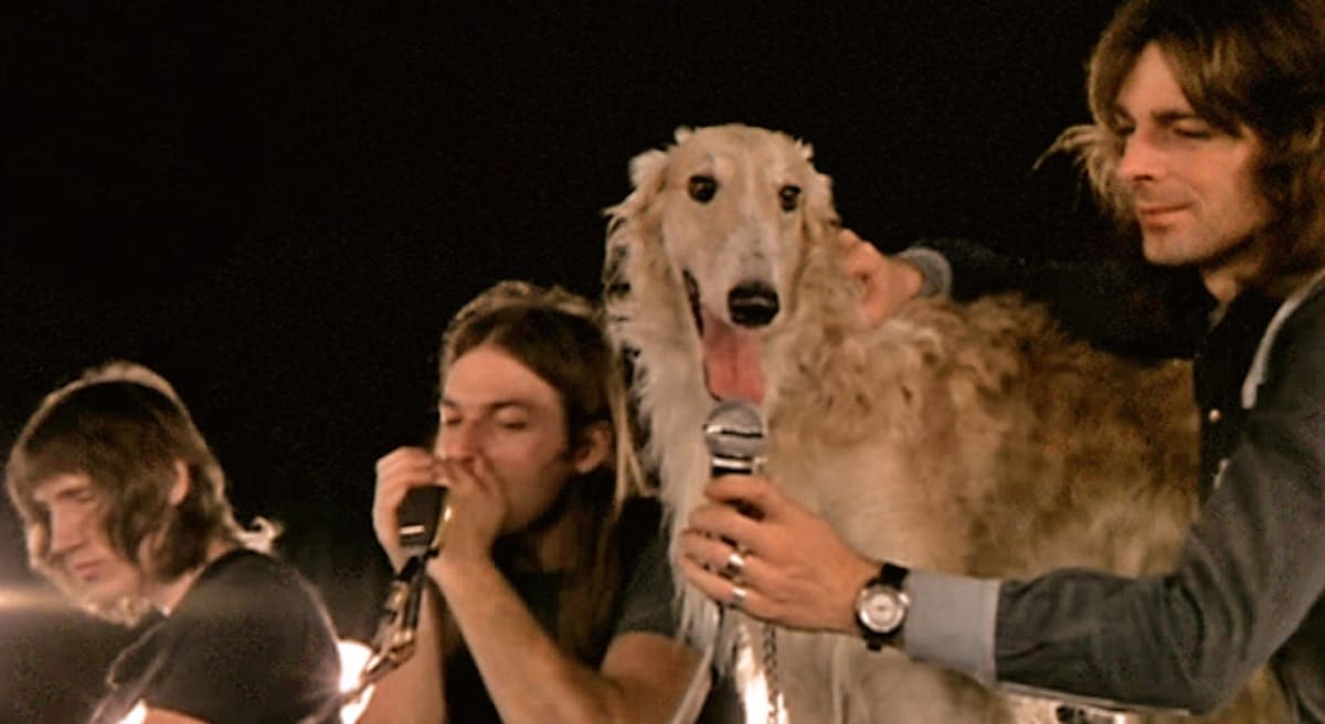 Seamus, el perro de un amigo de David Gilmour, dejó su huella en la canción Seamus.