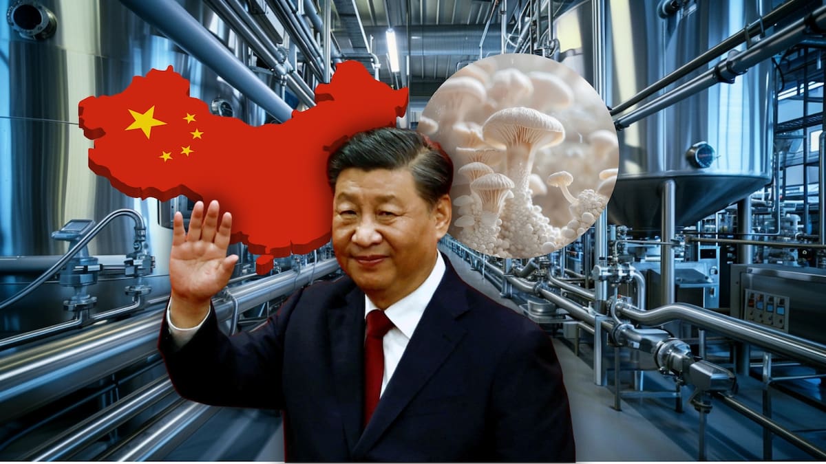 China aprueba por primera vez un ingrediente de micoproteína y establece reglas nacionales para producir proteína fúngica altamente eficiente, con menor uso de agua, suelo y emisiones que la carne convencional