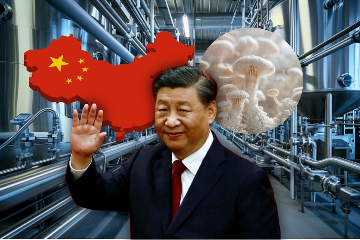 China aprueba por primera vez un ingrediente de micoproteína y establece reglas nacionales para producir proteína fúngica altamente eficiente, con menor uso de agua, suelo y emisiones que la carne convencional