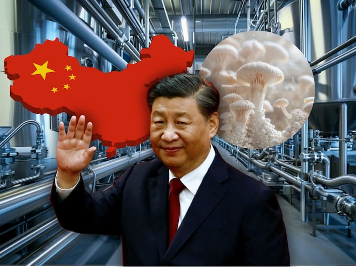 China aprueba por primera vez un ingrediente de micoproteína y establece reglas nacionales para producir proteína fúngica altamente eficiente, con menor uso de agua, suelo y emisiones que la carne convencional