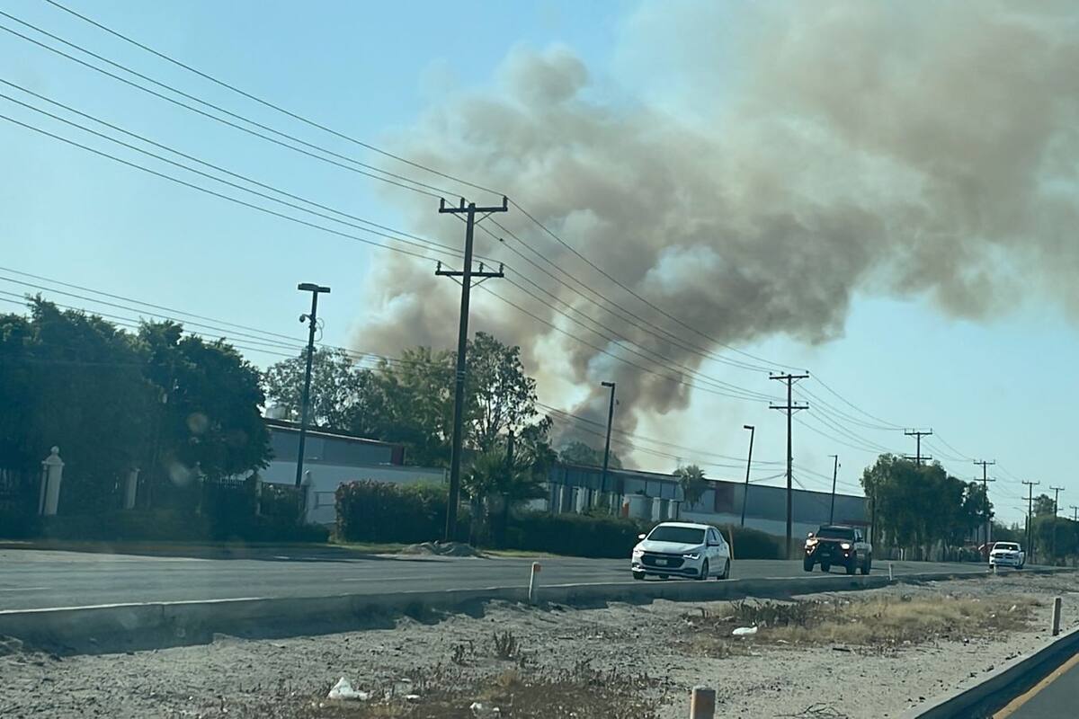 Mueren calcinadas tras incendio 100 chivas y borregos en el Valle de Mexicali