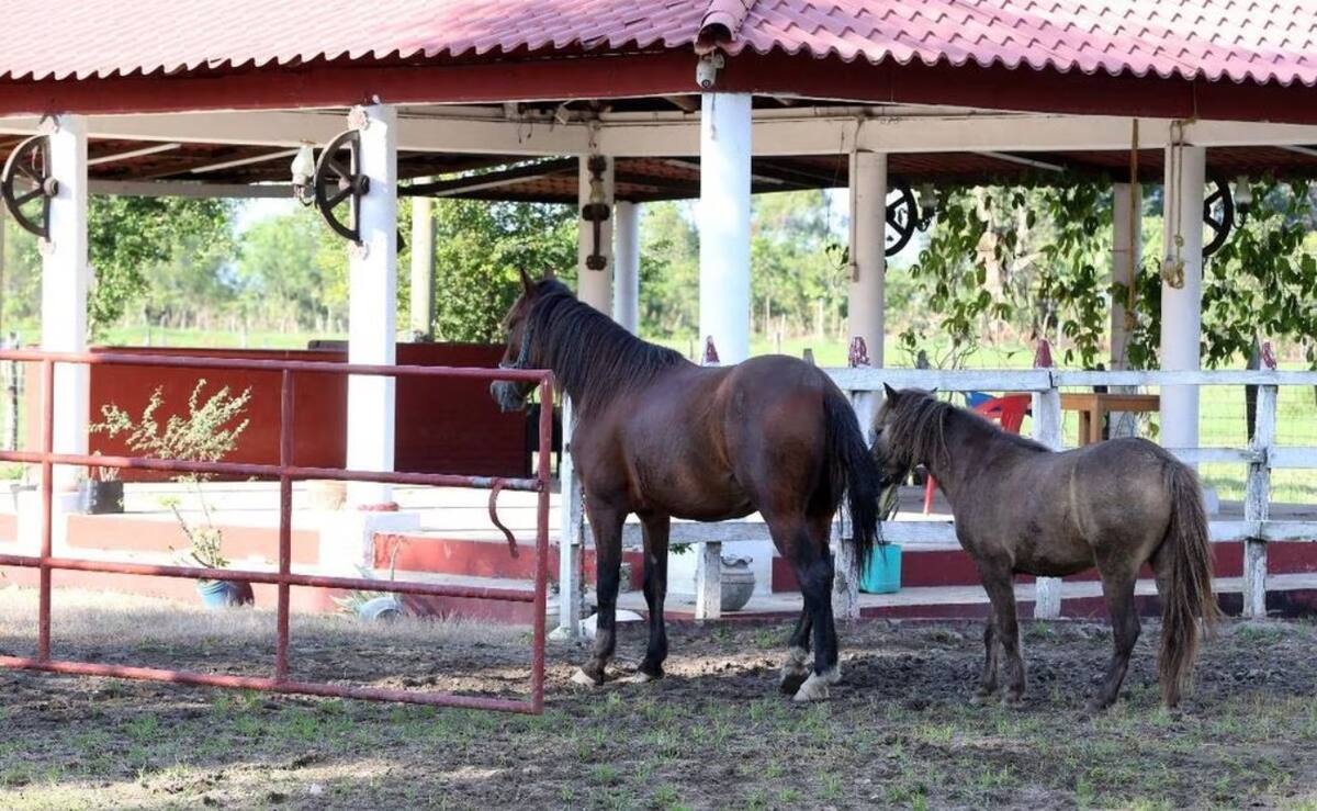 Rescatan en ranchería de Tabasco a hombre secuestrado. // Foto: Especial/El Universal