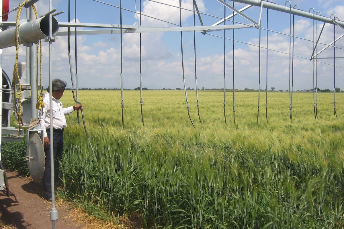 ¿En dónde hay más agricultura con riego tecnificado en Sonora?