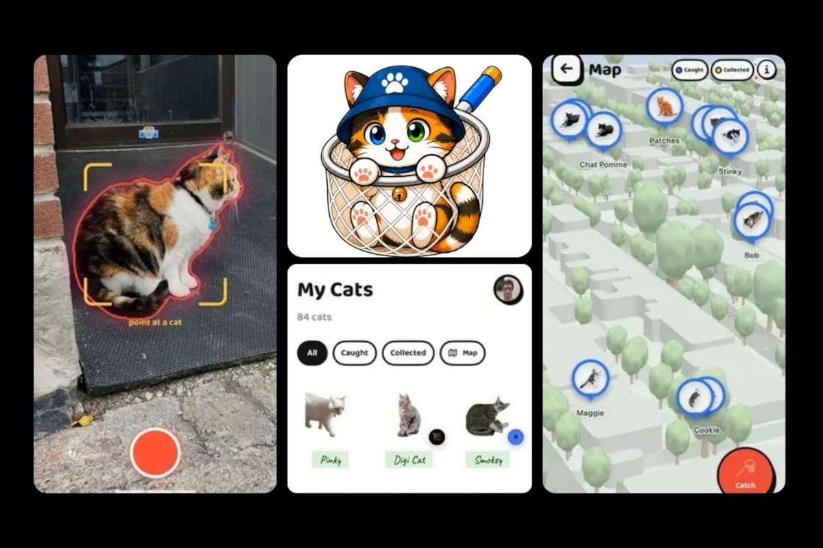 Más de 33 mil gatos ya fueron registrados en Cat Collector, la aplicación que convierte fotografías de felinos encontrados durante caminatas en stickers y colecciones digitales