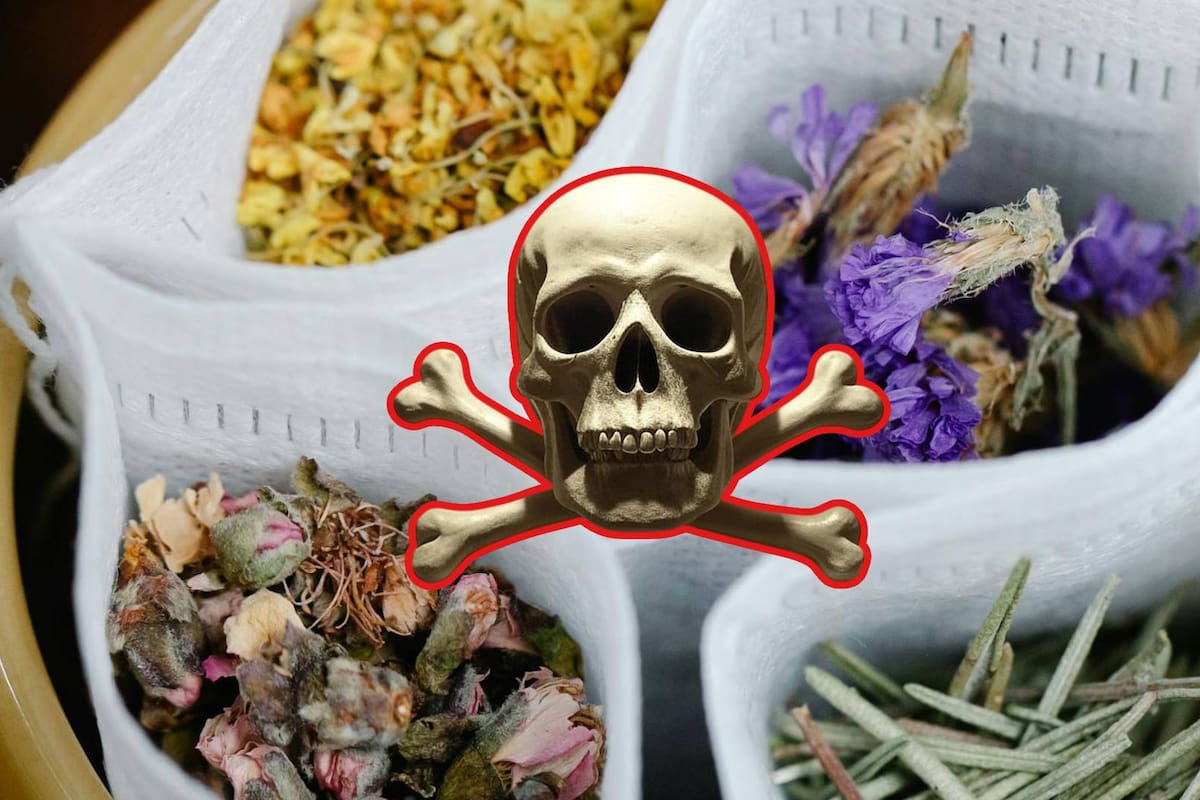 ¿Usas bolsitas de té? Estudio revela que estarías consumiendo microplásticos durante su uso