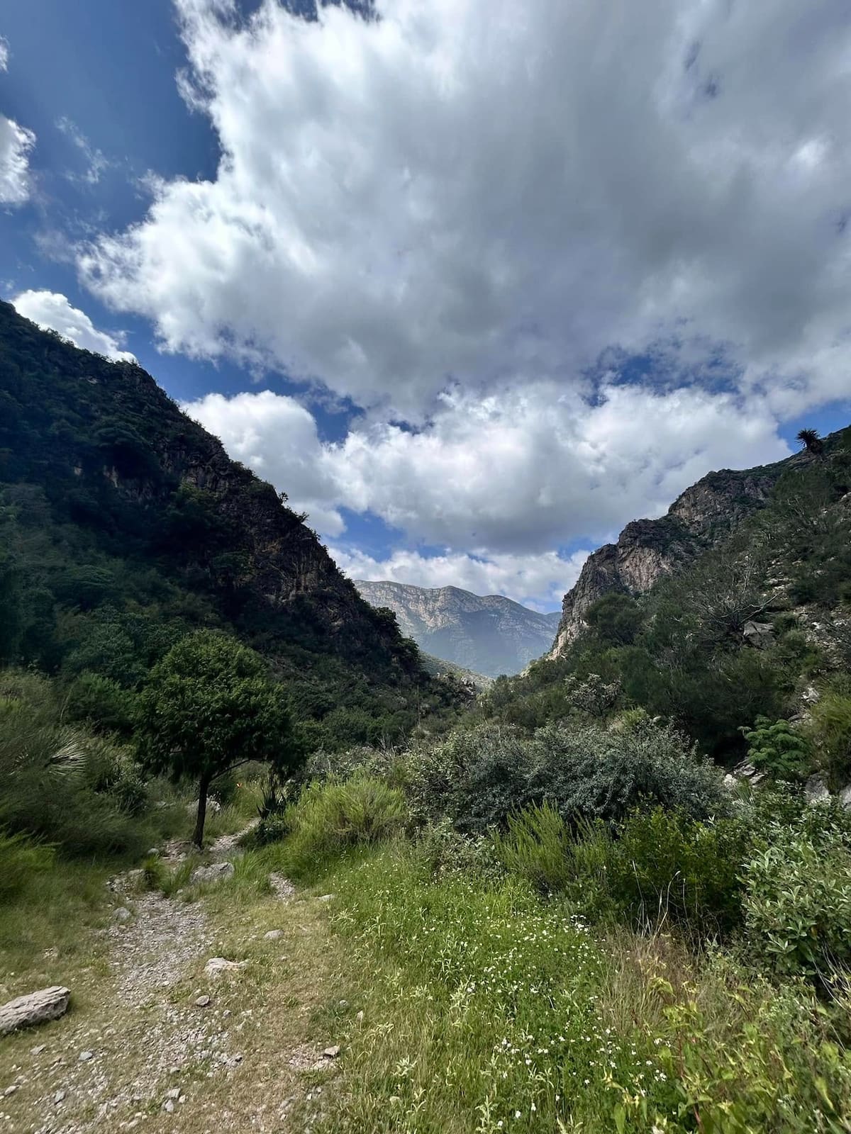 Cañón San Lorenzo. Foto: Facebook