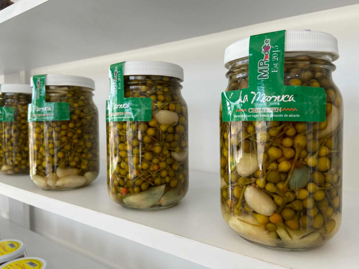 Actualmente, en el sur de Sonora se cultivan aproximadamente 64 hectáreas de chiltepín. / Imagen por Mayra Echeverría.