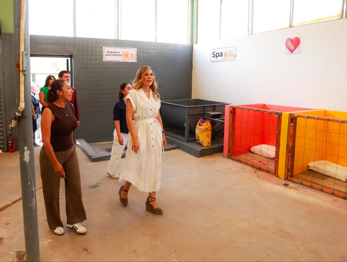 El nuevo espacio ofrecerá refugio temporal, atención veterinaria y promoverá la adopción responsable de animales de compañía. Foto: Cortesía