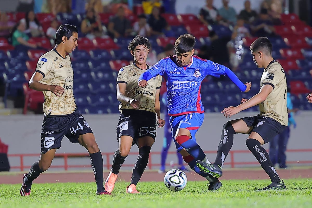 Cimarrones de Sonora se ausentarán de las canchas por un año