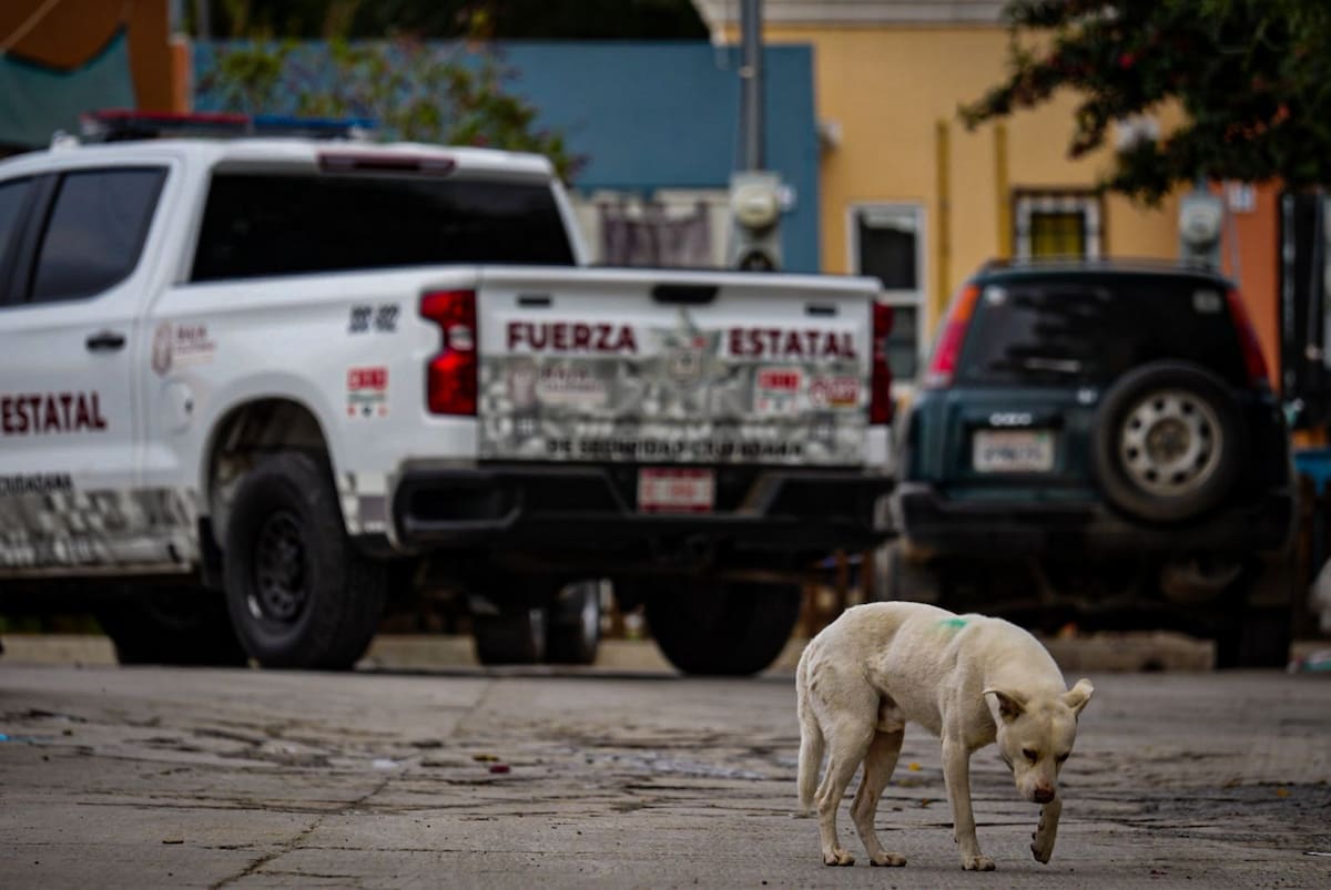 Dos personas resultaron lesionadas por disparos de arma de fuego en el fraccionamiento Valle de las Palmas. Foto: Leonardo González