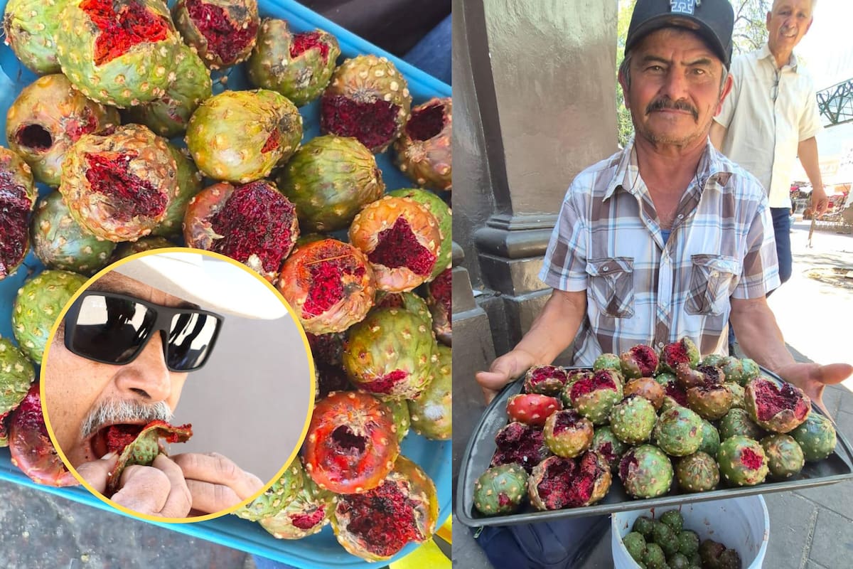 ¡Puro chuqui!: Regresan las pitayas al Centro de Hermosillo; ya se venden en 10 pesos la pieza