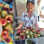 ¡Puro chuqui!: Regresan las pitayas al Centro de Hermosillo; ya se venden en 10 pesos la pieza