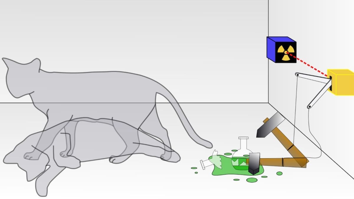El gato de Schrödinger representado en una gráfica que aparece en la serie de televisión Dark. Foto: Especial