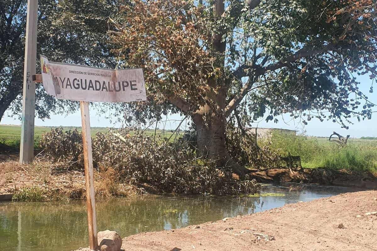 Robo de señalamientos afecta caminos del Valle del Yaqui