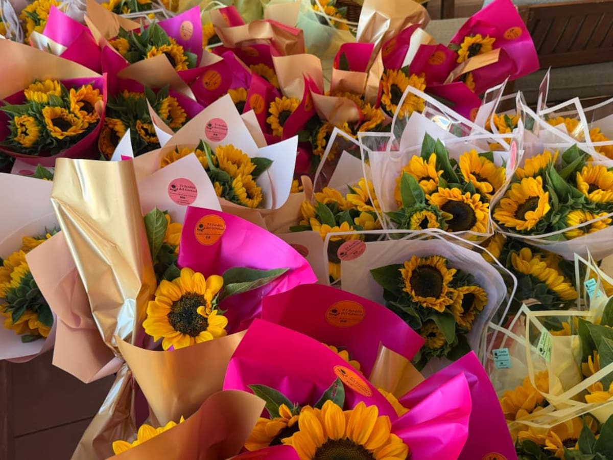 “El Jardín del Girasol”: de un surco en pandemia a florería local consolidada. Foto: Especial