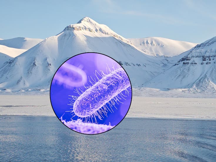 Microbios prehistóricos “despiertan” por el deshielo en el Ártico: ¿podrían afectar la salud humana? Esto dicen los científicos