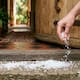 ¿Por qué la gente pone sal en la entrada de su casa? El verdadero motivo más allá de las supersticiones