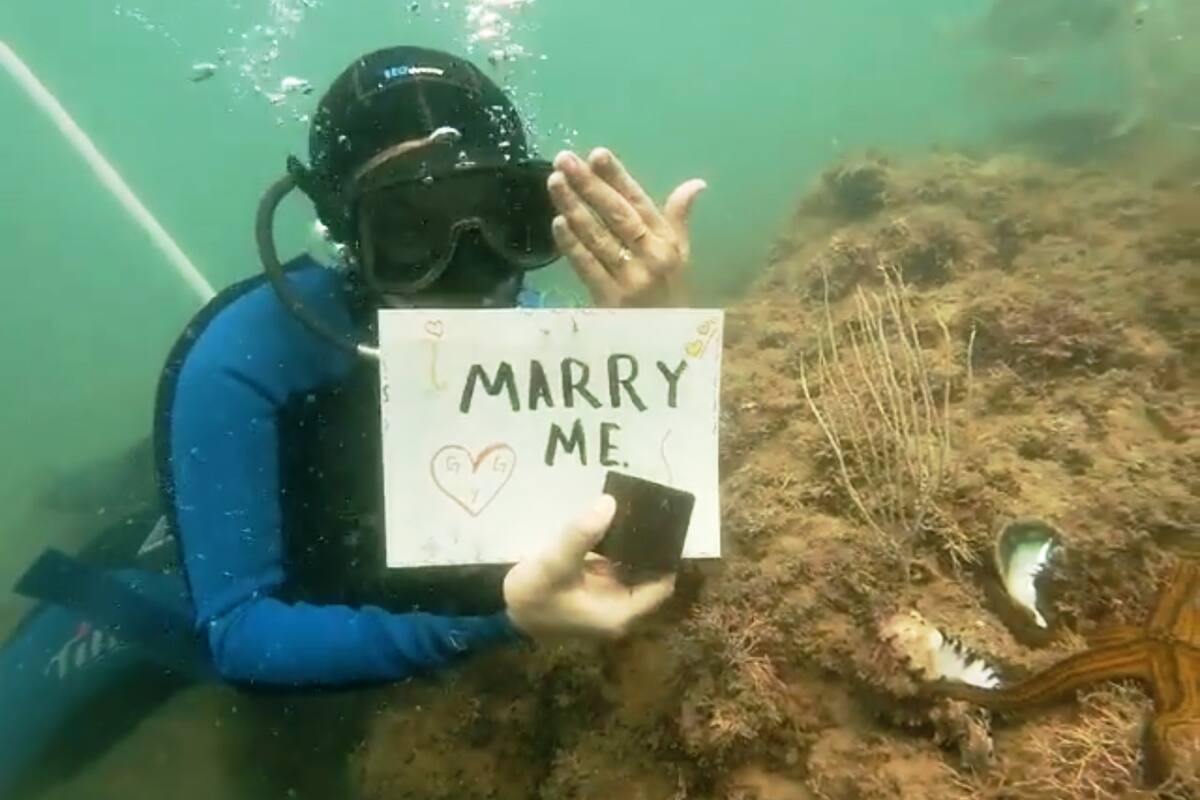 Amor bajo el mar: Le entrega el anillo mientras bucean