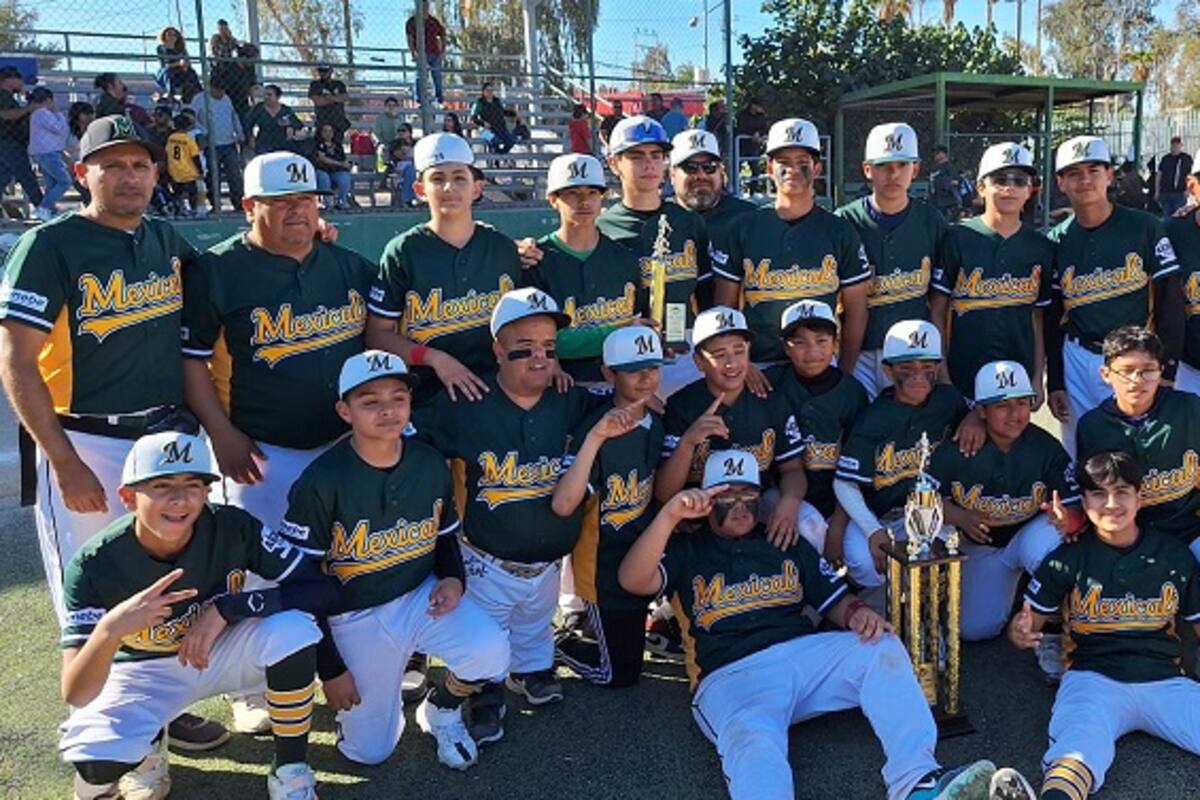 Liga del IMSS se coronó campeón Estatal y estará en el Nacional de la categoría Infantil