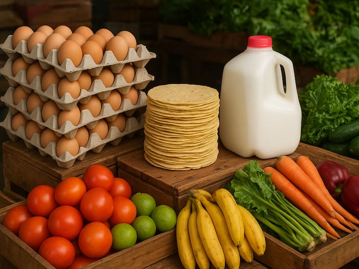 Organizaciones civiles advierten retraso de más de un año en el reglamento de la Ley de Alimentación Adecuada y Sostenible piden su publicación para garantizar el derecho a una alimentación sana y sostenible