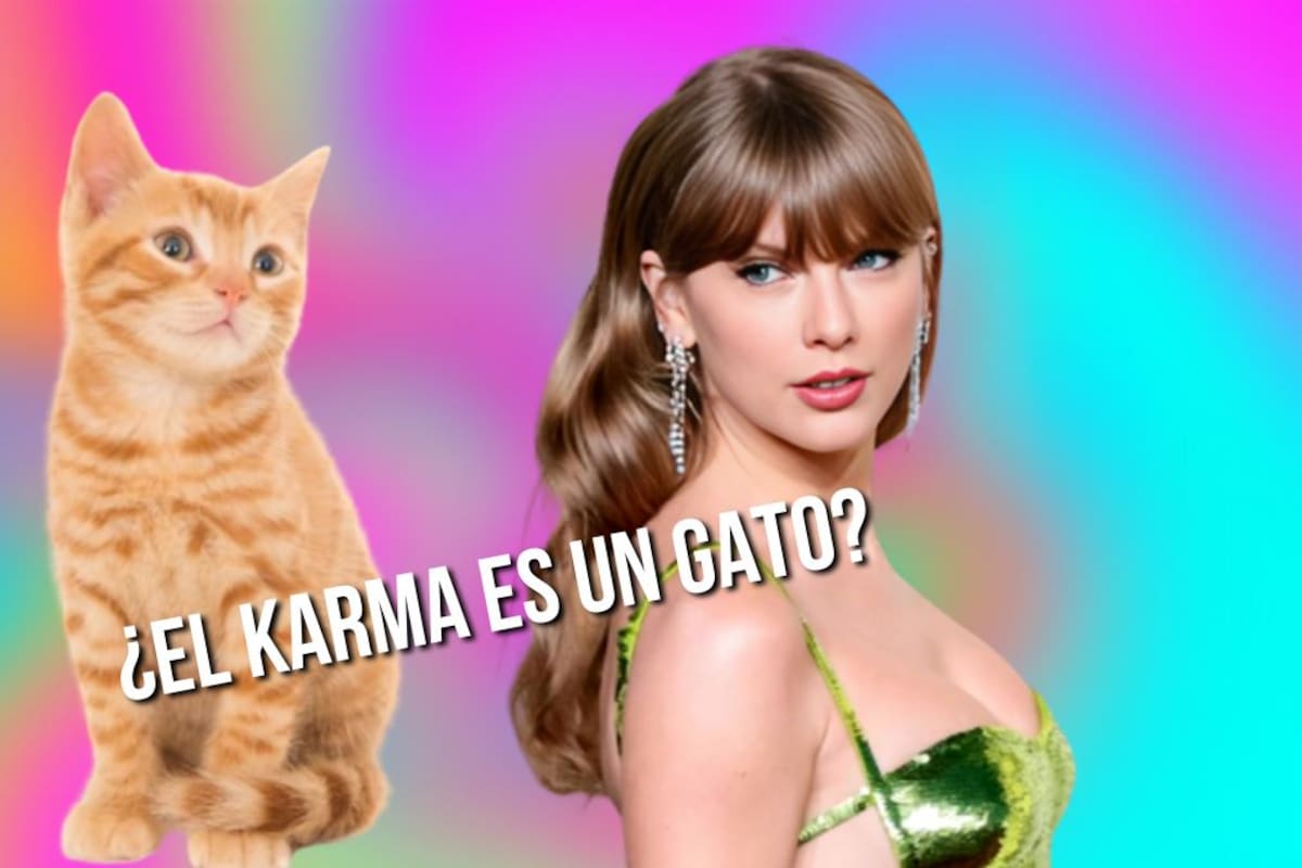 ¿Por qué se ha vuelto viral en TikTok la frase “el karma es un gato”?