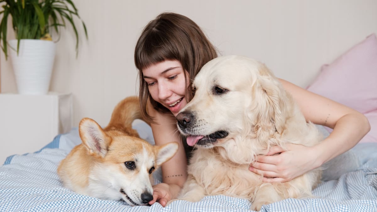 Los dueños de mascotas experimentan mejoras emocionales y físicas, como reducción del estrés y un mayor bienestar general/Foto: Canva IA