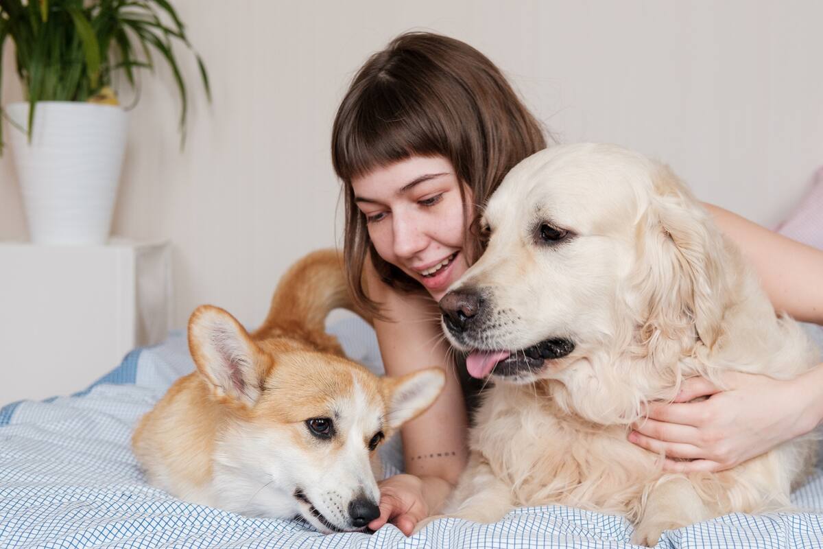 Tener una mascota es tan beneficioso para tu bienestar como el matrimonio, según estudios