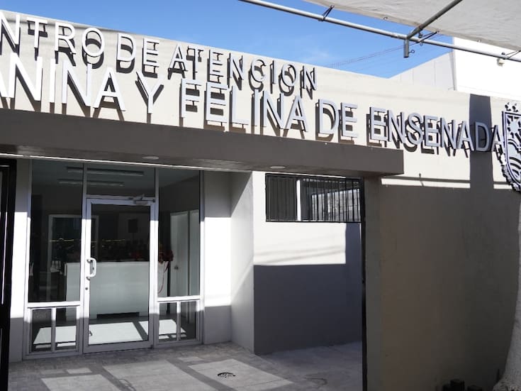 Cacyfe contará con crematorio de mascotas en Ensenada