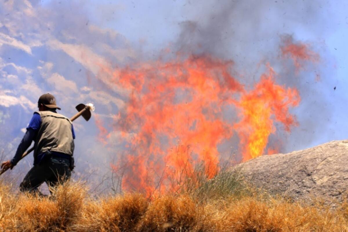 Cerca de 30 hectáreas se han incendiado en el Centro Ecológico de Hermosillo