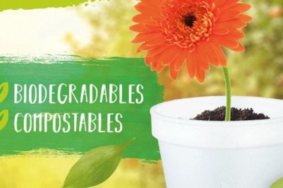Beneficios de los empaques compostables
