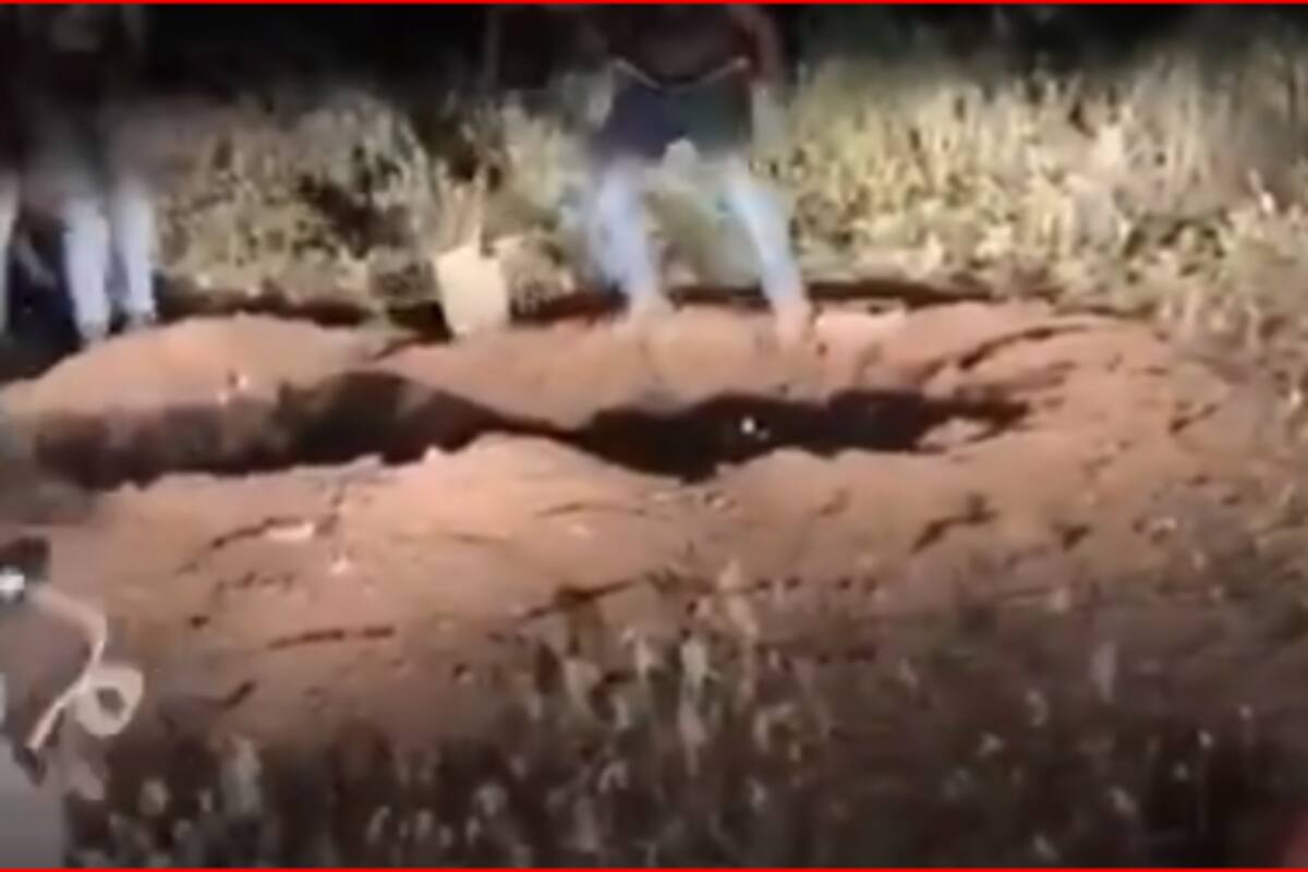 Graban en video cruel tortura de La Familia Michoacana a hombres