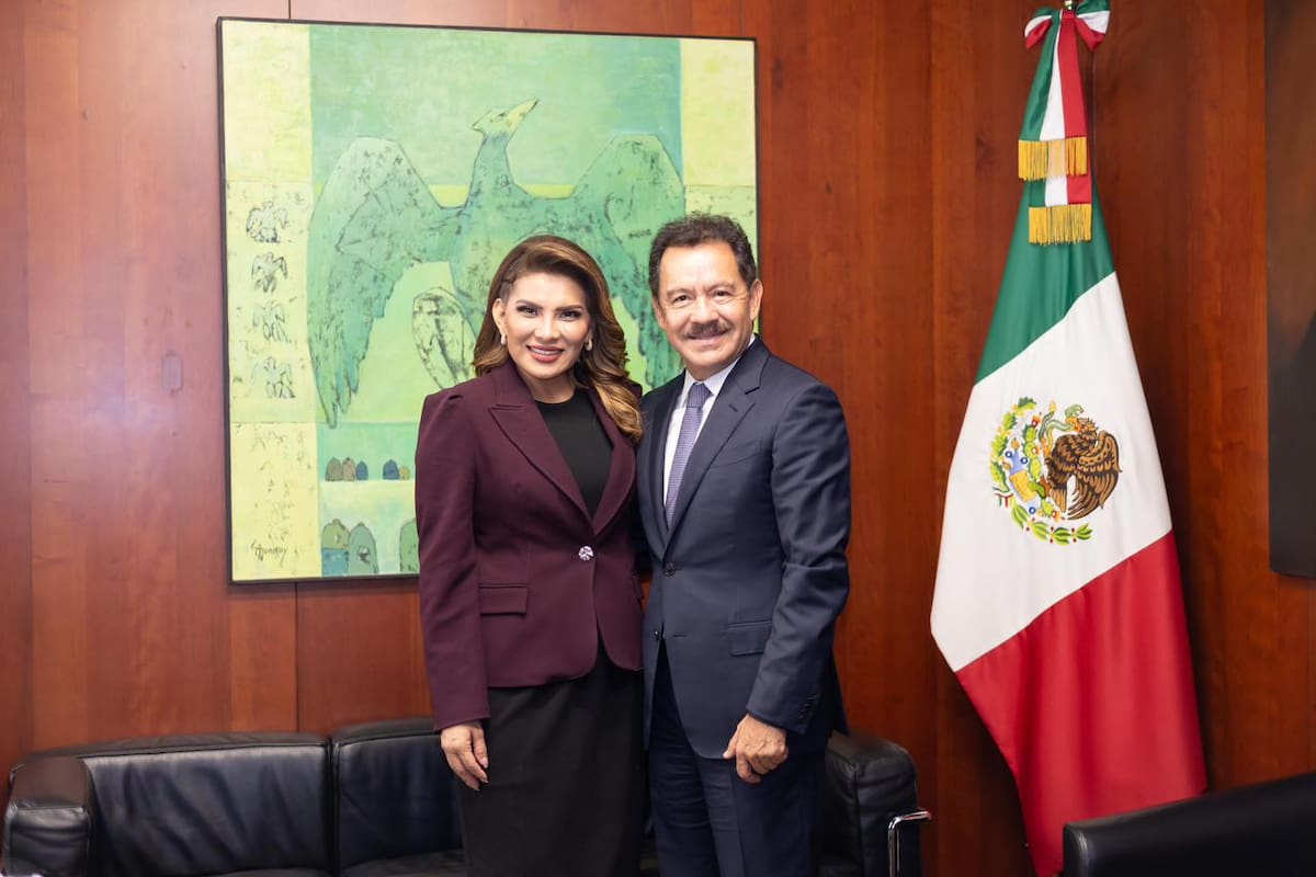 Lorenia Valles solicita licencia como senadora de la República