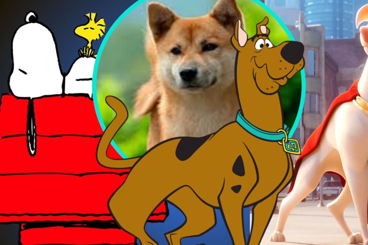 Estos son los perros más icónicos en la historia del cine y la televisión