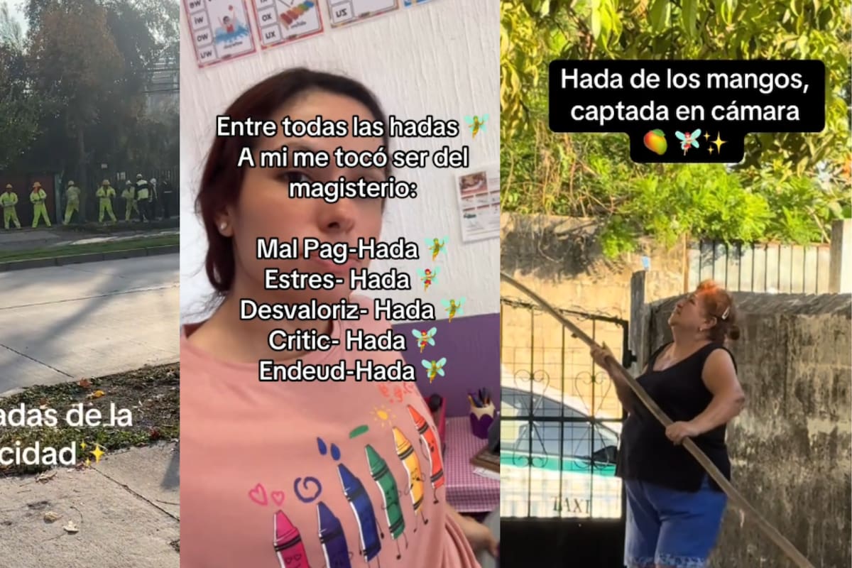 ¿Qué es y de dónde surgió la tendencia de “hadas trabajadoras” en TikTok?