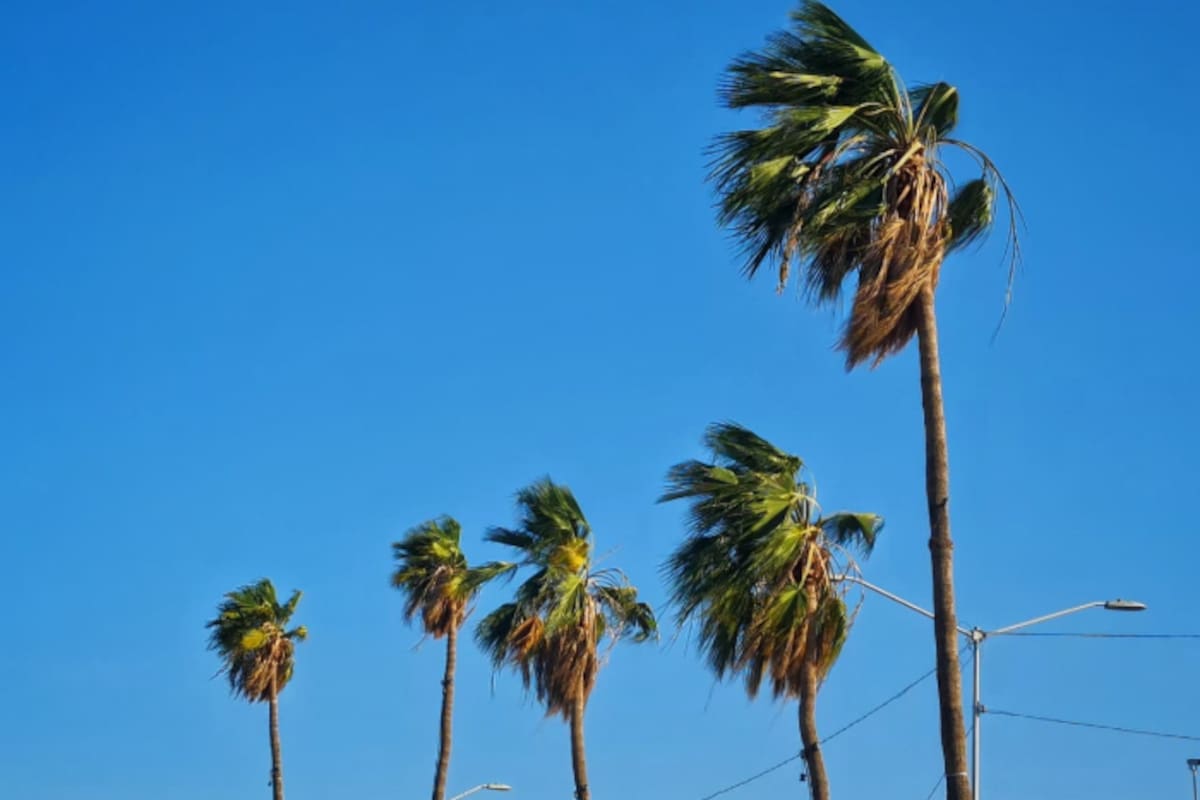 Clima Mexicali: Día agradable con 29 grados; subirán temperaturas en los próximos días