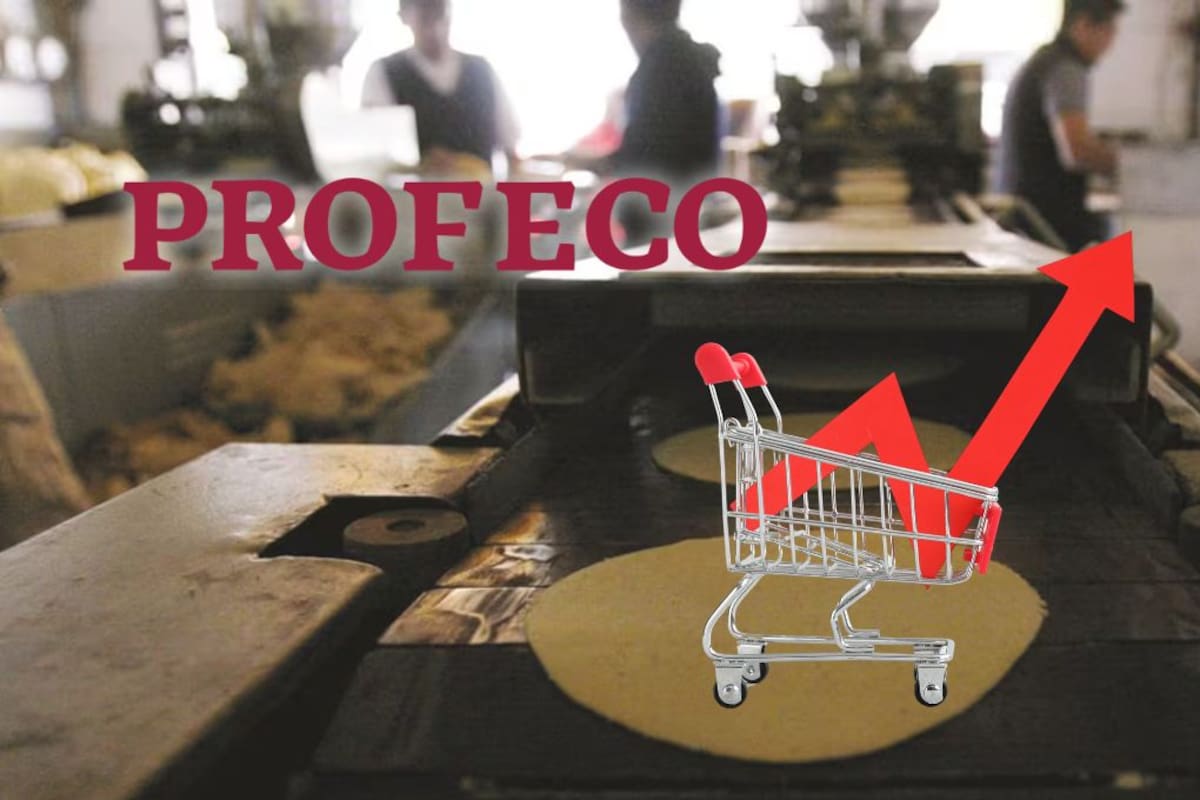 Profeco desmiente aumento en el precio de la tortilla: kilo se mantiene en 24.2 pesos y no hay alzas recientes en México