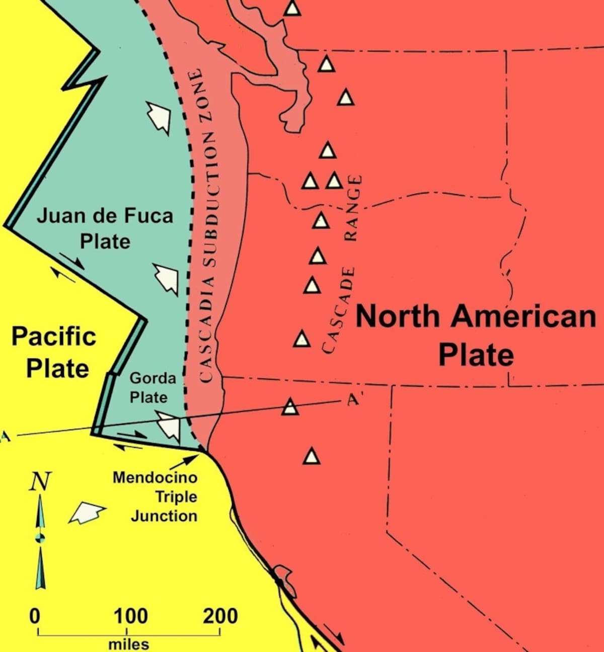 La imagen muestra la unión de las 3 diferentes placas que convergen en la costa del norte de California y Oregon, Estados Unidos y, el triple punto de unión de Mendocino (Mendocino Triple Junction). Foto: Redwood Coast Tsunami Group.