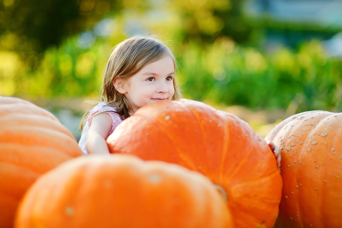 Pumpkin patches en Arizona: diversión familiar y actividades de otoño