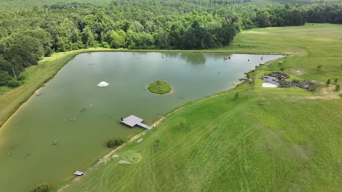 Un lago hecho para criar peces terminó convirtiéndose en un santuario salvaje en menos de 1,000 días y ahora atrae águilas, ciervos, búhos y toda una cadena ecológica